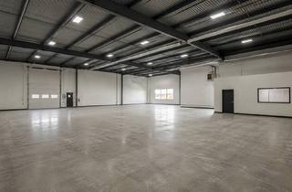 Büro zu mieten in 13407 Berlin, Lagerhalle in Reinickendorf zur Miete