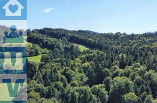 Immobilie kaufen in 83714 Miesbach, Über 9 Hektar Wald südlich von Miesbach