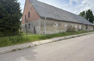 Doppelhaushälfte kaufen in 17091 Pripsleben, Große Doppelhaushälfte zum Ausbau