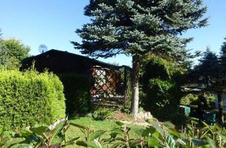 Grundstück zu kaufen in 01816 Bad Gottleuba, Gepflegter Freizeitbungalow in ruhiger Waldlage