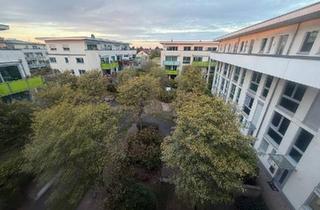 Haus kaufen in 65795 Hattersheim, Hattersheim am Main - 2 Zimmer Penthouse-Wohnung in Hattersheim am Main