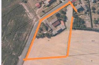 Haus kaufen in 17348 Woldegk, Woldegk - Großes Grundstück mit der Möglichkeit zur Bebauung, Baugrundstück
