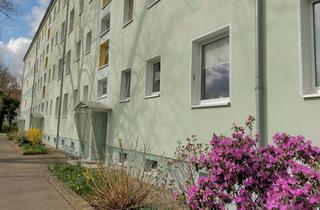 Wohnung mieten in Erich-Weinert-Straße, 04808 Wurzen, Komfortable und bequeme 3Zimmer im Erstbezug, sehr ruhig und im Grünen.