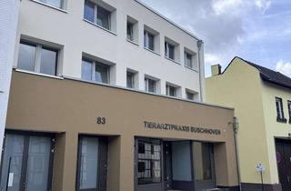 Wohnung mieten in Poststraße 83, 53913 Swisttal, Wohnen mit viel Platz und Dachterrasse im Ortskern