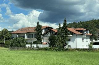 Wohnung mieten in Am Hollerbach, 65719 Hofheim am Taunus, Großzügige, gepflegte 2 -Zimmer Wohnung mit großer Terrasse in Hofheim OT Wildsachsen