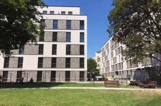 Wohnung mieten in Gerichtstraße 65, 13347 Wedding, Schönes 1-Zimmer-Studentenappartement ab 01.11.2026