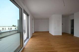Penthouse mieten in 69214 Eppelheim, Neubau-Penthouse mit zwei Dachterrassen – Weitblick zwischen Pfalz und Heidelberg