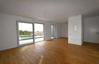 Penthouse mieten in 69214 Eppelheim, Neubau-Penthouse mit zwei Dachterrassen – Weitblick zwischen Pfalz und Heidelberg