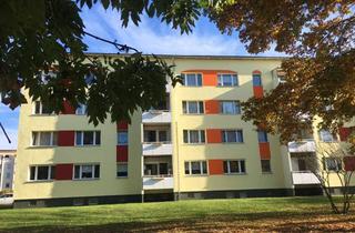 Wohnung mieten in Pulvermühlenweg 45, 04442 Zwenkau, Gemütliches Apartment mit Einbauküche, Badewanne, Stellplatz in Zwenkau Nahe Leipzig