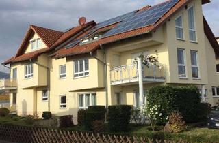 Wohnung mieten in 67434 Diedesfeld, helle Souterrain-Whg. 3ZKB mit großer Terrasse in Richtung Weinberge