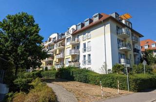Wohnung kaufen in 01099 Dresden, Vermietete 2-Zimmer-Wohnung mit Balkon & TG in Dresden
