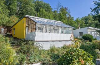 Haus kaufen in 38889 Blankenburg, Ferienhaus in ruhiger Lage und sehr guter Umgebung!