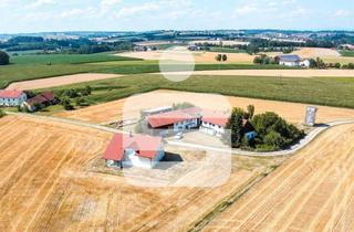 Haus kaufen in 94127 Neuburg, Wo Weite zum Luxus wird – außergewöhnliches Anwesen in Alleinlage nähe Neukirchen am Inn!
