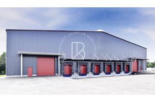 Gewerbeimmobilie mieten in 66914 Waldmohr, "BAUMÜLLER AG" - ca. 5.000qm Lagerhalle - viele Rampen