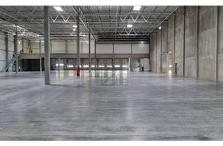 Gewerbeimmobilie mieten in 66578 Schiffweiler, "BAUMÜLLER AG" - ca. 5.000qm Halle verfügbar