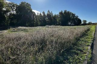 Grundstück zu kaufen in 15345 Altlandsberg, 3 großzügige Baugrundstücke im idyllischen Dorfkern v. Wegendorf
