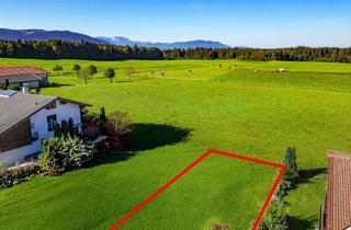 Grundstück zu kaufen in 83666 Waakirchen, Mit weitläufigem Panoramablick: Baugrundstück für Doppelhaushälfte