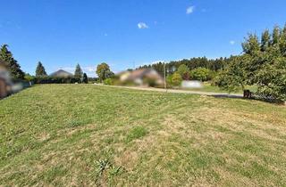 Grundstück zu kaufen in 72175 Dornhan, Sonniges Grundstück in Ortsrandlage!