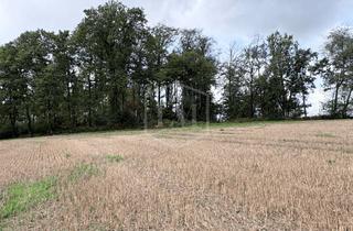 Immobilie kaufen in 42551 Velbert, Land- und forstwirtschaftliche Liegenschaft in Velbert