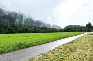 Gewerbeimmobilie kaufen in 83229 Aschau, Landwirtschaftliche Fläche Grünland