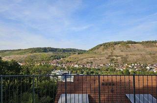 Wohnung mieten in Am Mühlberg 31, 74653 Ingelfingen, moderne 2-Zi Terrassenhauswohnung mit Panoramablick in Ingelfingen