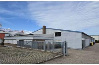 Büro zu mieten in 67069 Pfingstweide, Lagerhalle 1.500 m² u. Bürogebäude 250 m² in verkehrsgeografisch guter Lage von Ludwigshafen/Rhein
