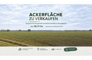 Grundstück zu kaufen in 39649 Miesterhorst, Kapitalanlage: 28,3 ha zusammenhängende Agrarfläche, Miesterhorst (Gardelegen), Sachsen-Anhalt