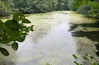 Immobilie kaufen in 36205 Sontra, Teichanlage mit 4 Teichen, großer Wiese und Baumbestand (ca. 3 ha / 29.994 qm) in Sontra - Ulfen