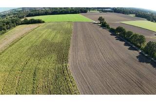 Immobilie kaufen in 48624 Schöppingen, Landwirtschaftliche Fläche in Schöppingen "Grote Kamp" zu verkaufen!
