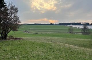 Immobilie kaufen in 86479 Aichen, Schönes Baugrundstück (teilbar) in ruhiger Lage in Aichen