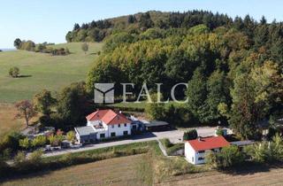 Gewerbeimmobilie kaufen in 69429 Waldbrunn, Landgut Katzenbuckel – Ein außergewöhnlicher Ort mit Geschichte und vielfältigen Möglichkeiten