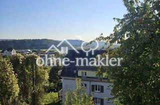 Wohnung mieten in Wolfsackerweg 4, 79761 Waldshut, Renovierte, zentralgelegene 1-Zi. Whg. mit Balkon und Alpensicht