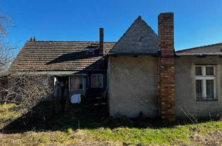 Einfamilienhaus kaufen in 03238 Finsterwalde, Finsterwalde - Bauernhaus zu Verkaufen in Sallgast