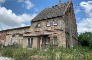Einfamilienhaus kaufen in 06429 Nienburg, Nienburg (Saale) - Wedlitz, Einfamilienhaus