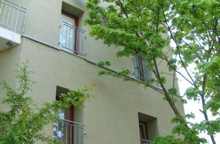 Wohnung mieten in 76135 Weststadt, Helle, ruhige 2 ZKB Altbau Single Wohnung KA West. franz. Balkone ins Grüne.