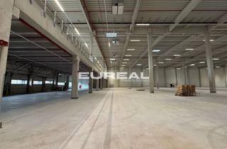 Gewerbeimmobilie mieten in 44579 Castrop-Rauxel, Logistikhalle | mehrere Rampen | ebenerdige Andienung | WGK