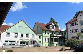 Anlageobjekt in 31710 Buchholz, Renditeobjekt + Potenzial: Juwel mit ca. 2.400 m² Vermietungsfläche im Herzen des Weserberglandes