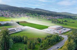 Gewerbeimmobilie kaufen in 93474 Arrach, Gewerbegrundstück mit ca. 23.000 m² in Arrach - Teilung möglich!