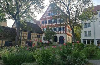 Wohnung mieten in Am Spitalhof, 70825 Korntal-Münchingen, Modernes Wohnen: 1,5-Zimmer-Apartment in Korntal-Münchingen