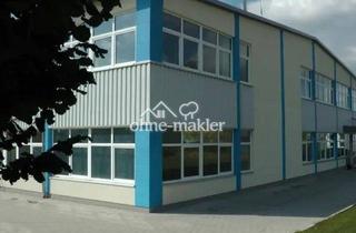 Geschäftslokal mieten in Werkstraße 3, 89290 Buch, Einzeln oder kombiniert: Büro-, Lager- und Produktionsflächen (550/440/105 qm)!