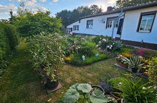 Haus kaufen in 04720 Döbeln, Döbeln - Haus zu verkaufen