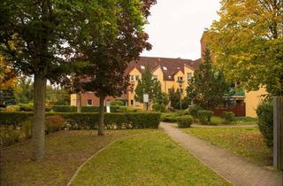 Wohnung mieten in 14469 Eiche, Wunderschöne 4-Zimmer-Wohnung im Grünen mit großem Balkon in Potsdam "Am Neuen Palais"
