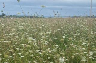 Grundstück zu kaufen in Westerbergen, 23769 Fehmarn, Landwirtschaftliche Fläche mit Wertsteigerungspotenzial! Investition in die Zukunft. Tauschobjekt!