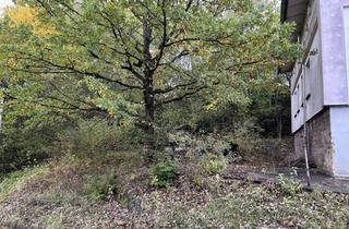 Gewerbeimmobilie mieten in Gewerbepark 12, 96528 Effelder-Rauenstein, Gewerbefläche 839 m² in Frankenblick, Lagerplatz