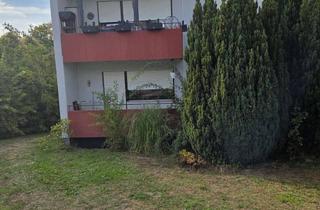 Wohnung kaufen in Blumenstraße 18, 74906 Bad Rappenau, Lebendig wohnen: 3-Zimmer-Wohnung in Bad Rappenau