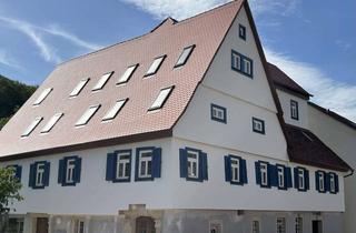 Wohnung mieten in Mühlstraße, 74542 Braunsbach, Moderne 2-Zimmer-Wohnung mit überdachtem Südbalkon
