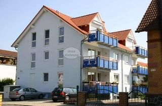 Wohnung mieten in Neue Anlage 18a, 63543 Neuberg, Helle, vollständig renovierte 3-Zimmer-Wohnung mit Südbalkon und neuer Einbauküche