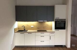 Wohnung mieten in Angerfeld, 94469 Deggendorf, Großes helles Apartment mit Balkon zu vermieten