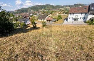 Grundstück zu kaufen in 79761 Waldshut-Tiengen, Waldshut-Tiengen - UNVERBAUBARE AUSSICHT IN BESTER HANGLAGE