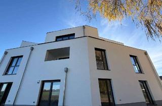 Penthouse mieten in 30419 Nordhafen, Modernes Penthouse zur Miete – Erstbezug mit großzügiger Dachterrasse und Blick ins Grüne